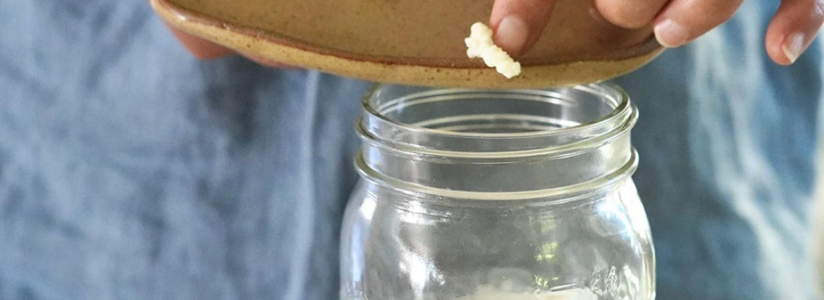 5 Proven Health Benefits of Probiotic-Rich Dairy Products